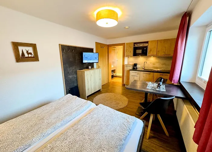 Appartements Bergfried - Ski In Ski Out, Inklusive Sommerkarte, Zentral Mit Ausblick Ueber Kaprun * Kaprun