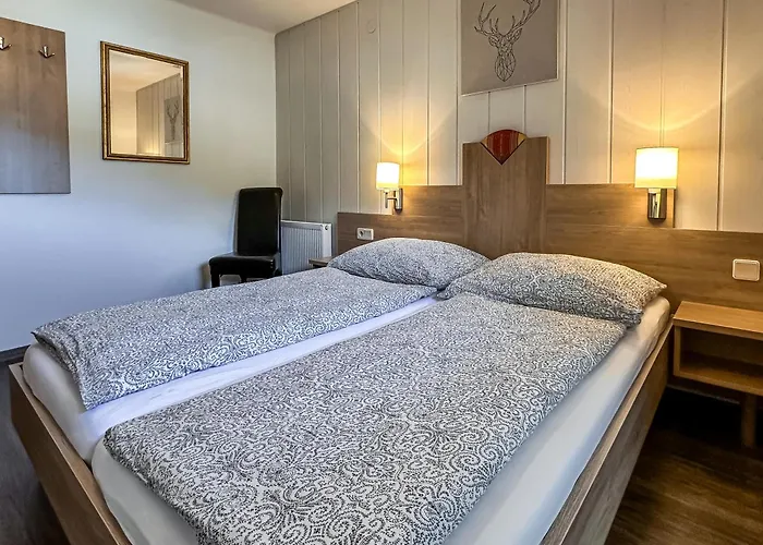 Appartements Bergfried - Ski In Ski Out bis ca Mitte oder Ende März, inklusive Sommerkarte, zentral mit Ausblick über Kaprun