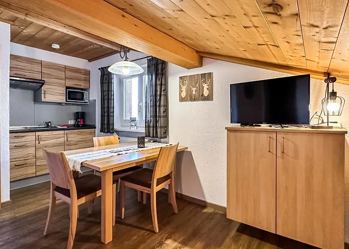 Appartements Bergfried - Ski In Ski Out bis ca Mitte oder Ende März, inklusive Sommerkarte, zentral mit Ausblick über Kaprun Kaprun