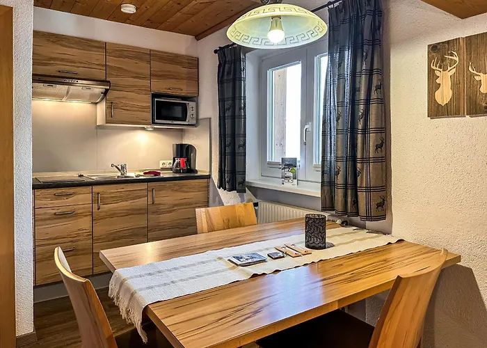 Appartements Bergfried - Ski In Ski Out, Inklusive Sommerkarte, Zentral Mit Ausblick Ueber Kaprun *